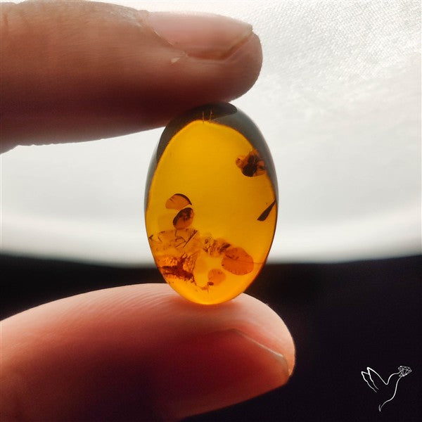 Baltic Amber Cabochon