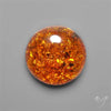 Baltic Amber Cabochon
