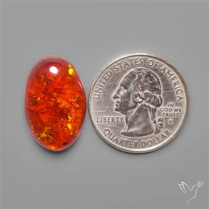 Baltic Amber Cabochon