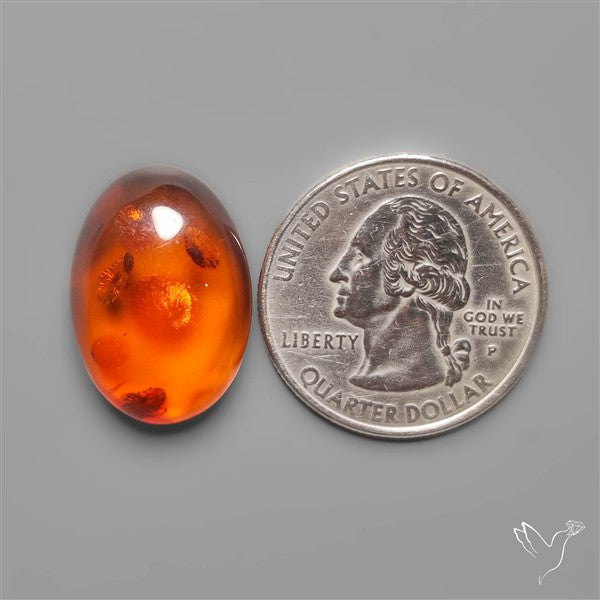 Baltic Amber Cabochon