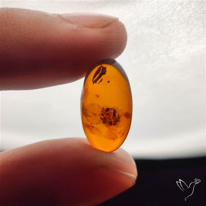Baltic Amber Cabochon