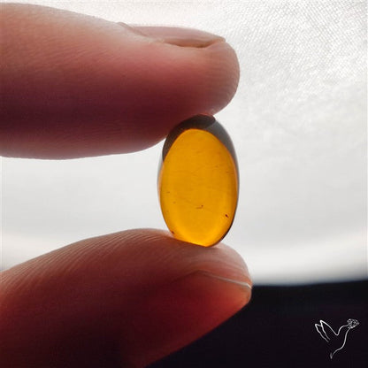 Baltic Amber Cabochon