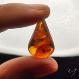 Baltic Amber Cabochon (not flat backed)
