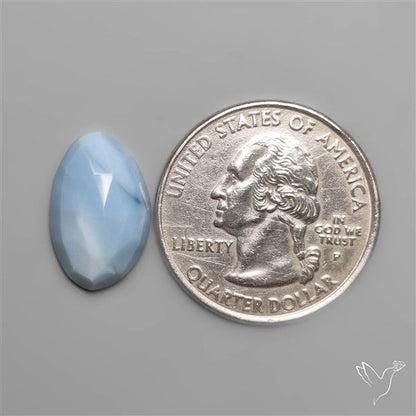 Rose Cut Owyhee Blue Opal