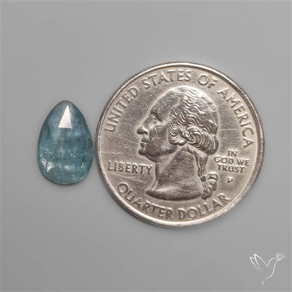Rose Cut Paraiba Blue Kyanite