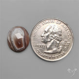 Rose Cut Botswana Agate