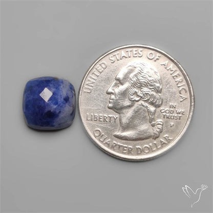 Checkerboard Cut Sodalite
