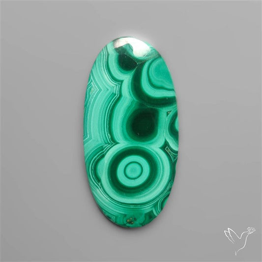 Orbicular Congo Malachite Cabochon