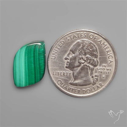 Congo Malachite Cabochon
