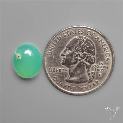 Gemmy Chrysoprase Cabochon