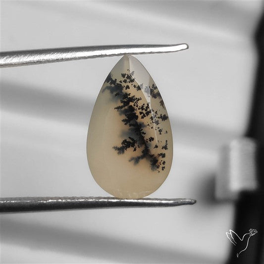 Faceted Scenic Agate