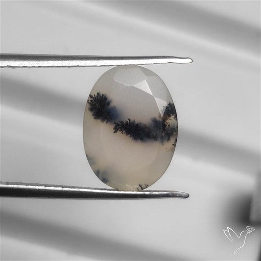 Faceted Scenic Agate