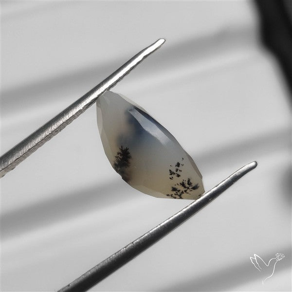 Faceted Scenic Agate