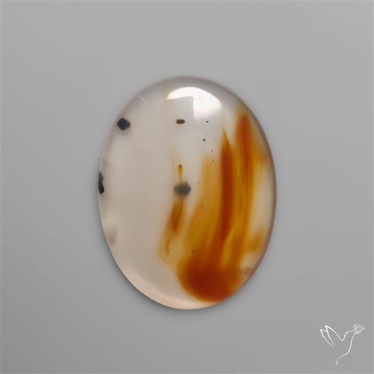 Montana Agate
