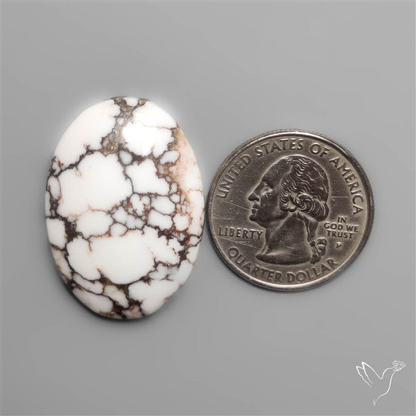 Wild Horse Jasper Cabochon