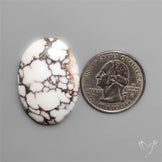 Wild Horse Jasper Cabochon