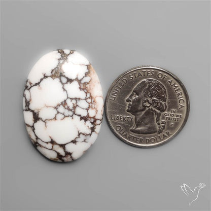 Wild Horse Jasper Cabochon