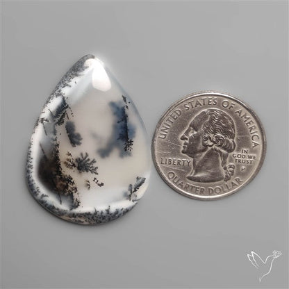 Dendritic Agate Cabochon