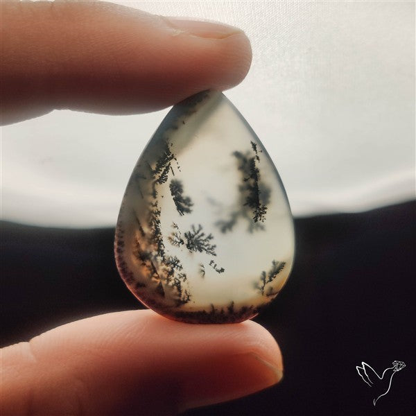 Dendritic Agate Cabochon