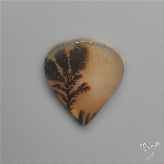 Scenic Agate
