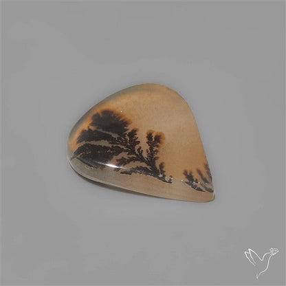 Scenic Agate