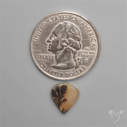 Scenic Agate