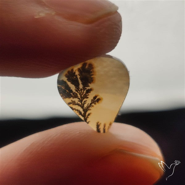 Scenic Agate