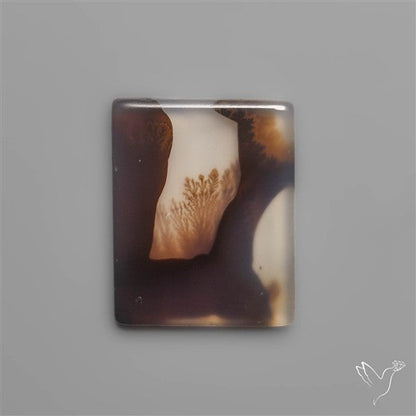 Scenic Agate