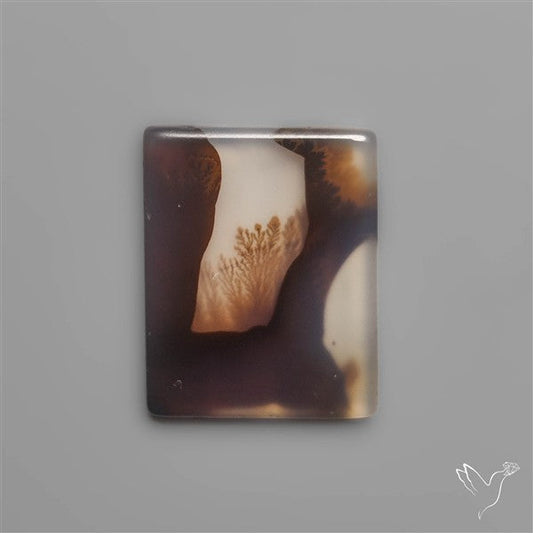 Scenic Agate