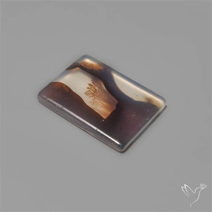 Scenic Agate