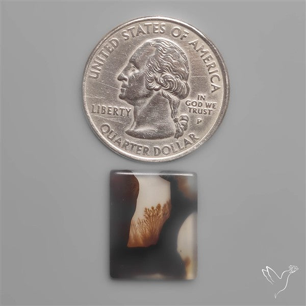 Scenic Agate
