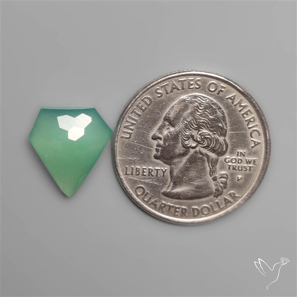 Honeycomb Cut Gemmy Australian Chrysoprase