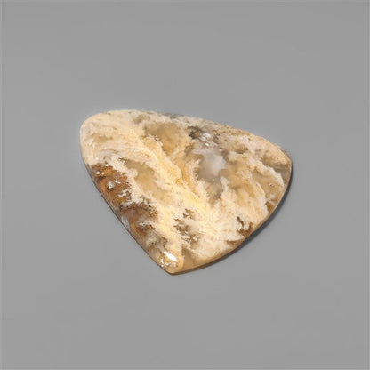 Northridge Plume Agate Cabochon