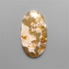 Northridge Plume Agate Cabochon
