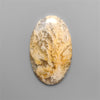 Northridge Plume Agate Cabochon