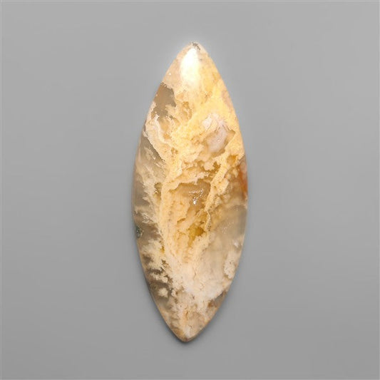 Northridge Plume Agate Cabochon