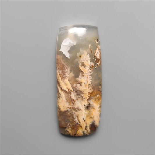 Northridge Plume Agate Cabochon