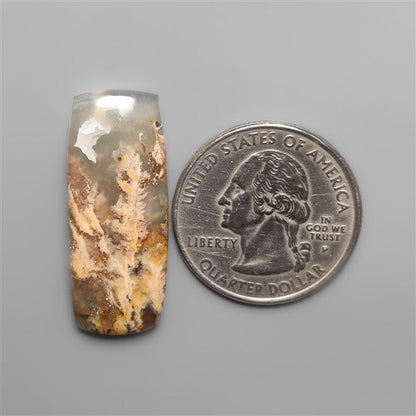 Northridge Plume Agate Cabochon