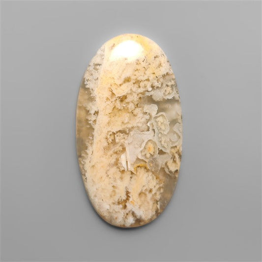 Northridge Plume Agate Cabochon