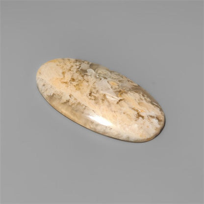 Northridge Plume Agate Cabochon