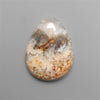 Northridge Plume Agate Cabochon