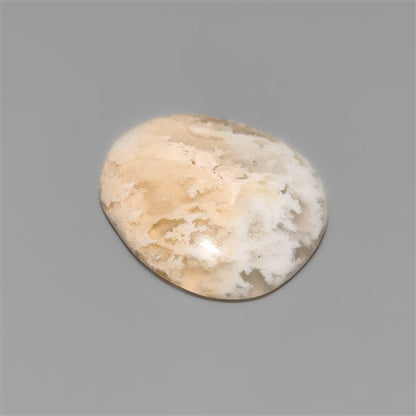 Northridge Plume Agate Cabochon