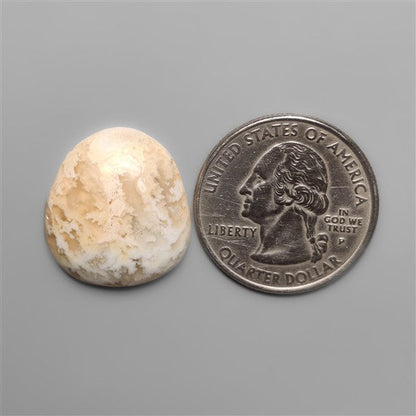 Northridge Plume Agate Cabochon
