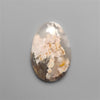 Northridge Plume Agate Cabochon