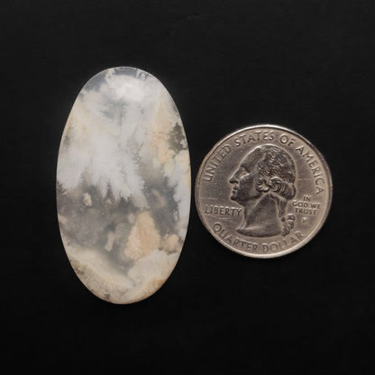 Stinking Water White Plume Agate Cabochon