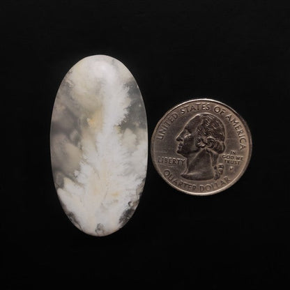 Stinking Water White Plume Agate Cabochon
