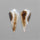 Black Banded Agates Pair