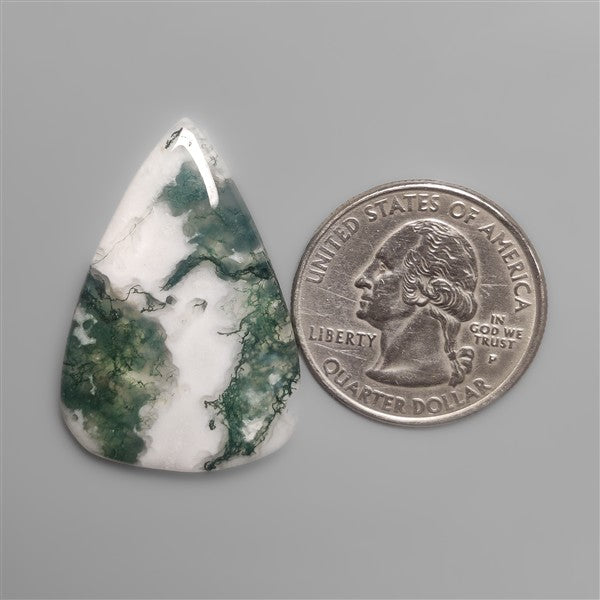Tree Agate Cabochon