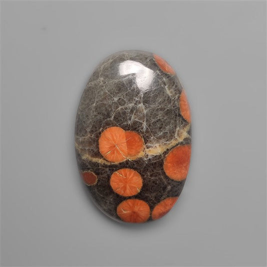 Peanut Wood Obsidian Cabochon