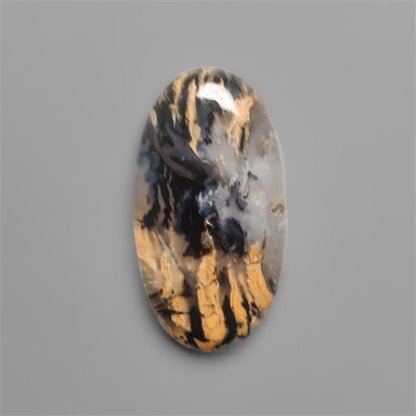 Aurstralian Dendritic Agate